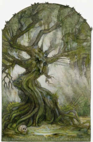 Soni Alcorn-Hender - Old Man WIllow.png